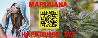 гидра Камышлов